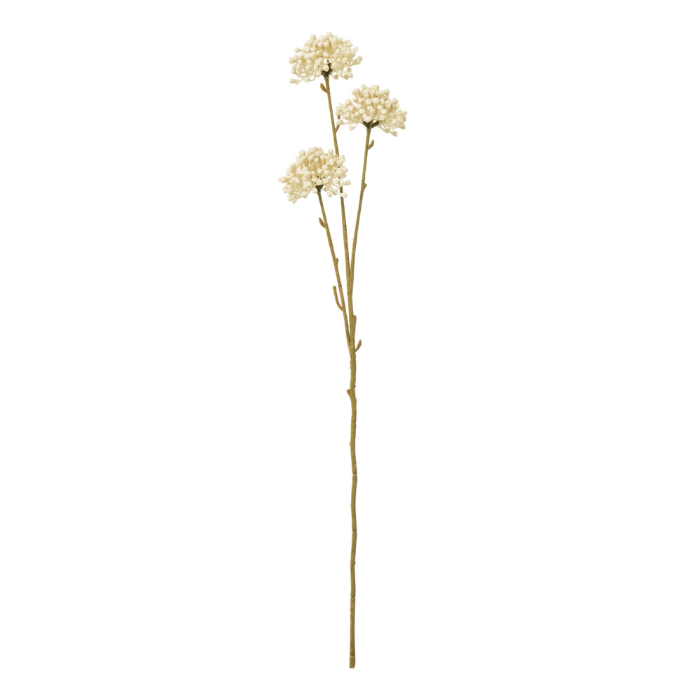 Hill Interiors Cream Allium Spray