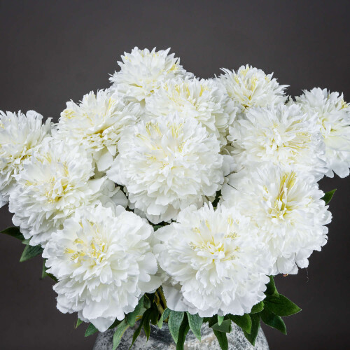 Classic White Peony 1