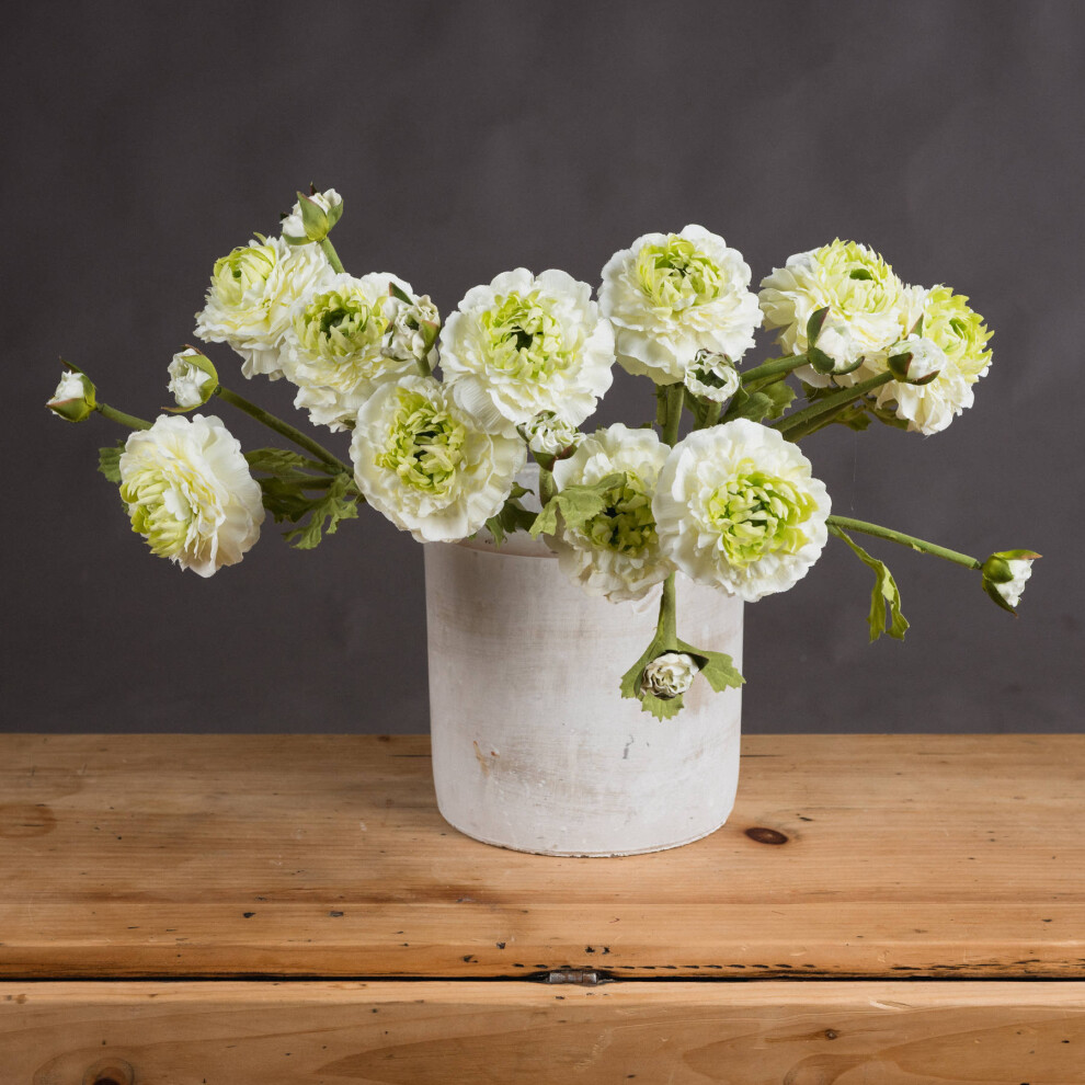 Hill Interiors Green Ranunculus Spray