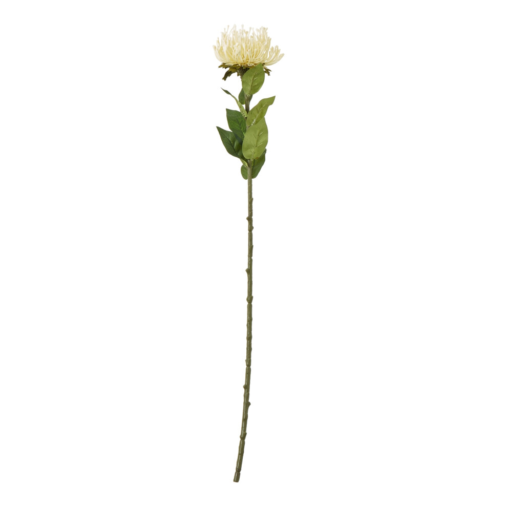 Hill Interiors Cream Protea Lorea Stem