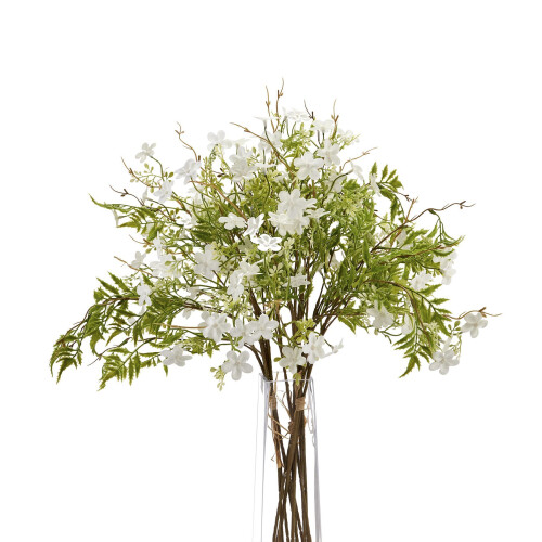 Italian White Bellflower 2