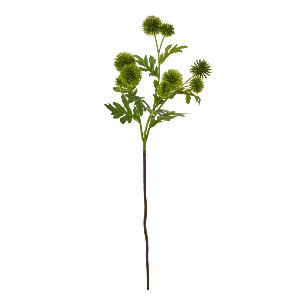 Hill Interiors Green Globe Thistle Spray