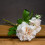 Peachy Cream Short Stem Rose Bouquet 1