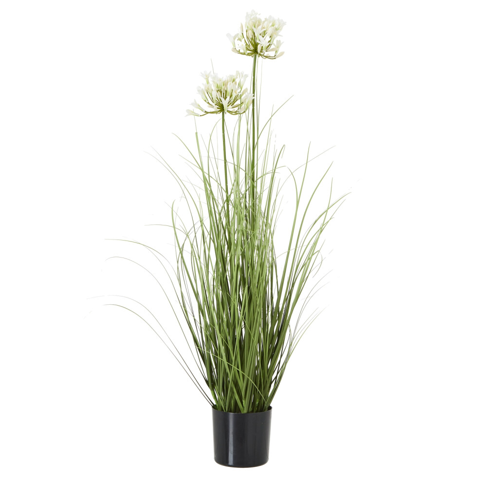 Sostter Unisex Black White Agapanthus Faux Plant In Decorative Pot In - Image 3
