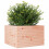 VidaXL vidaXL Garden Planter 70x70x46 cm Solid Wood Douglas 4