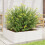 VidaXL vidaXL Garden Planter White 80x80x23 cm Solid Wood Pine 3
