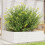 VidaXL vidaXL Garden Planter White 80x80x23 cm Solid Wood Pine 1