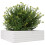 VidaXL vidaXL Garden Planter White 80x80x23 cm Solid Wood Pine 4