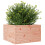 VidaXL vidaXL Garden Planter 80x80x45.5 cm Solid Wood Douglas 4
