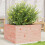 VidaXL vidaXL Garden Planter 80x80x45.5 cm Solid Wood Douglas 1
