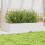 VidaXL vidaXL Garden Planter White 110x60x23 cm Solid Wood Pine 1