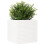 VidaXL vidaXL Garden Planter White 70x70x68.5 cm Solid Wood Pine 4