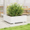 VidaXL vidaXL Garden Planter White 70x70x26.5 cm Solid Wood Pine 3