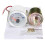 Dial Pointer 52 mm Olie Drukmeter Olie Dial Pointer 4
