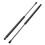 Carbonstahl Heckklappendämpfer für Audi A4 B6 2001–2004 2