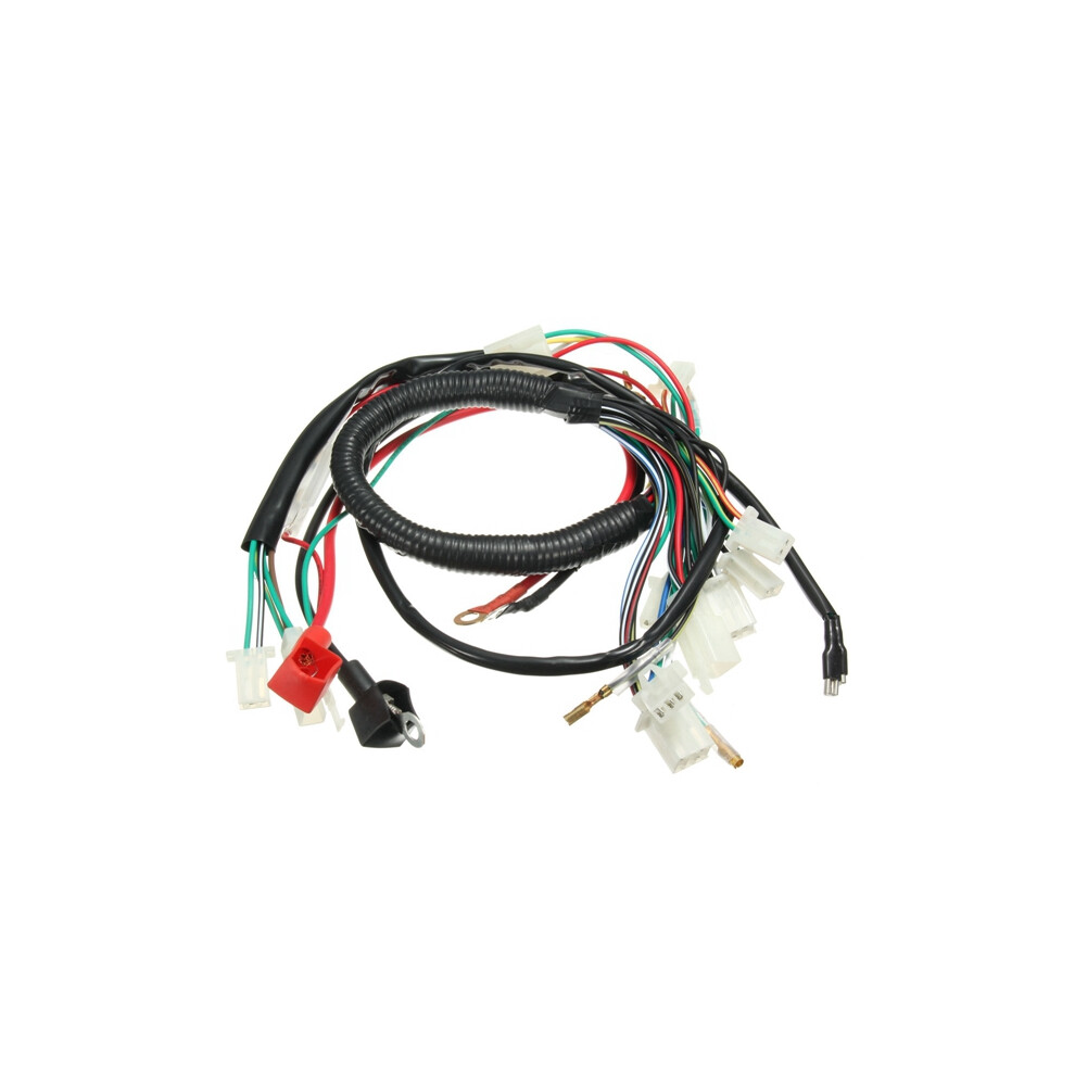 Wiring Harness Loom For Chinese Electric Start Quads 50Cc 70Cc 90Cc 110Cc 125Cc 762179046257