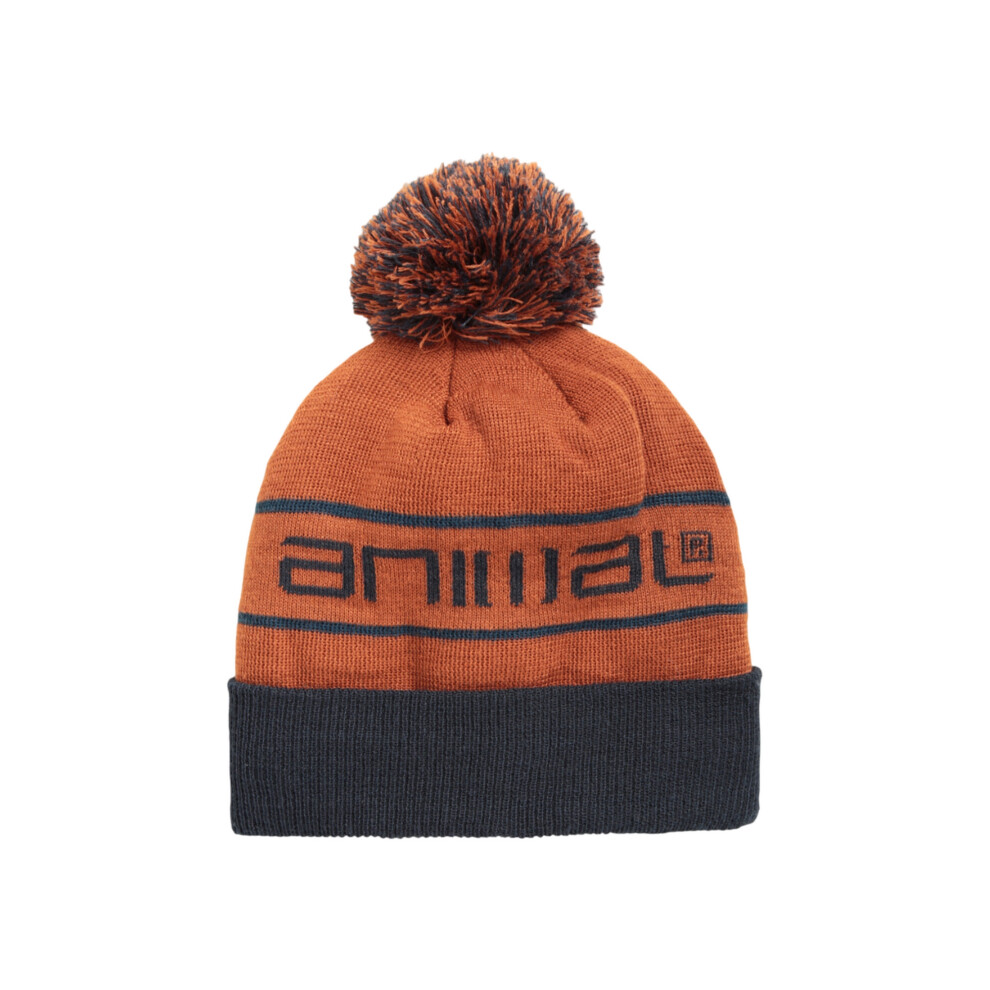 Animal Briggs Pom Pom Recycled Skiing Beanie