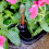 2-Pack Self-watering Planter - Hand Woven Wicker - Square - Expresso 5