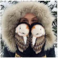 (Balck) Hand Knitted Wool Nordic Mittens With Owls