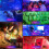 Star Projector Light Led Ceiling Starry Night Sea Starlight Ocean Wave Space 2