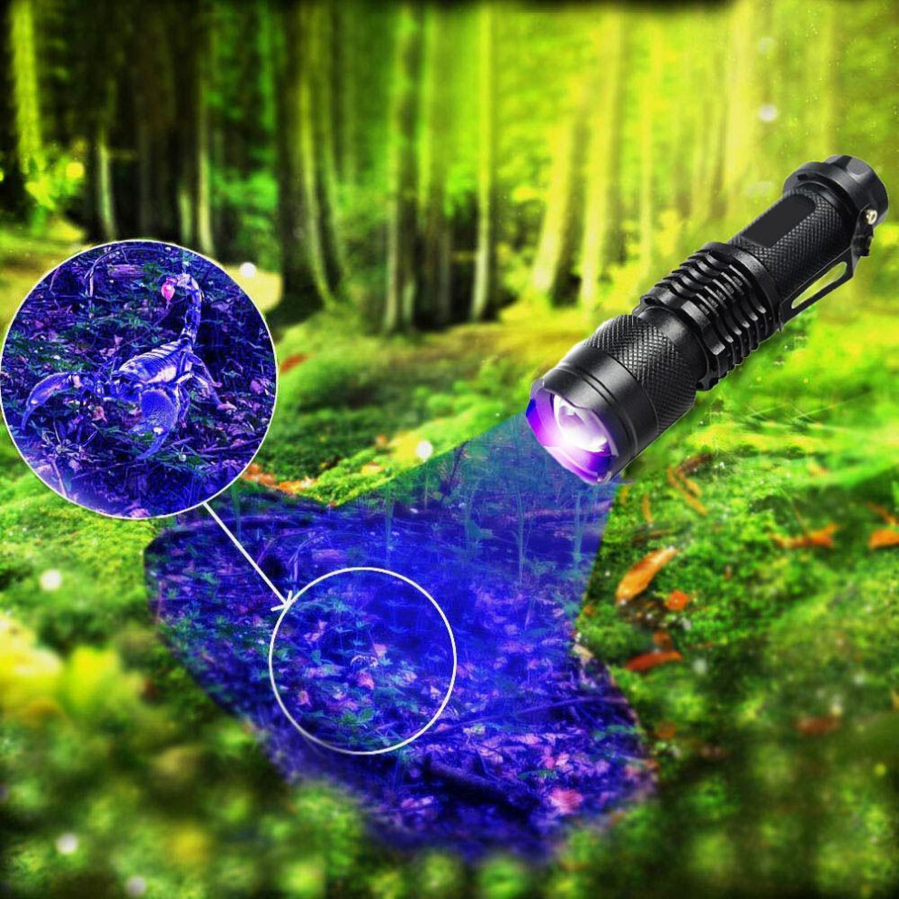 (as the picture) Superstore High Quality Uv Ultra Violet Led Flashlight Blacklight Light 395 Nm Inspection Lamp Torch