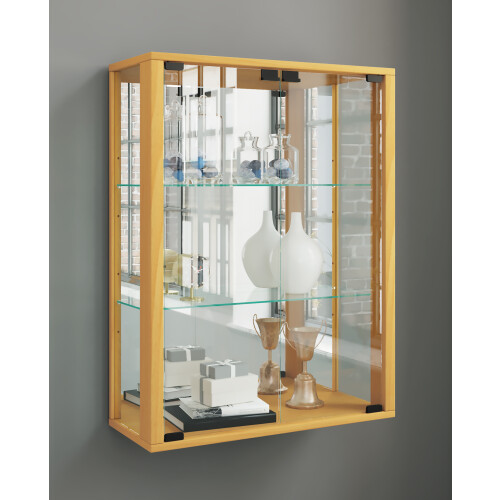 Wall display case hanging glass display case wall showcase display case glass Udina mirror 2