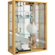 Wall display case hanging glass display case wall showcase display case glass Udina mirror