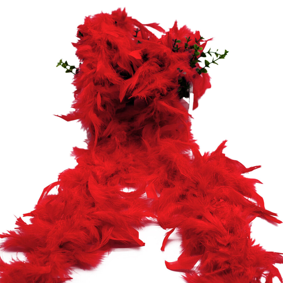 (Red) 2M Feather Boa With Sunglasses For Parties & Performances Red