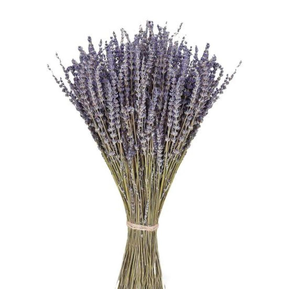 1 Box Dried Lavender Decor Multi-purpose Wedding Vibrant Fragrant Bedsidefragrance Natural Plants