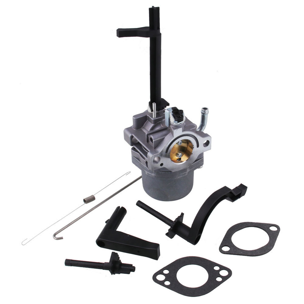 New Carburetor Carb For Briggs & Stratton 591378 699966 697978 Snowblower Generator 762179068099