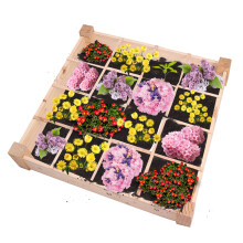 120x120x18cm 16 Rasters Tuin Verhoogd Bed Planten Bloempot Plantenbak Buiten Tuin