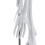 45 Cm Modello Scheletrico Anatomico Umano Aiuto all'Apprendimento 8