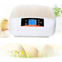 Digitale 56 Eieren Incubator Kippen Broeder Temperatuurregeling Automatische Draaiing