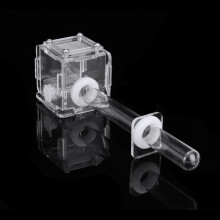 Mini tubo di glass nido abitativo formicaio con alimentazione per colonia di formiche