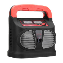 Charger per auto intelligente a impulsi con display LCD 220V AC a 12/24V DC automatico