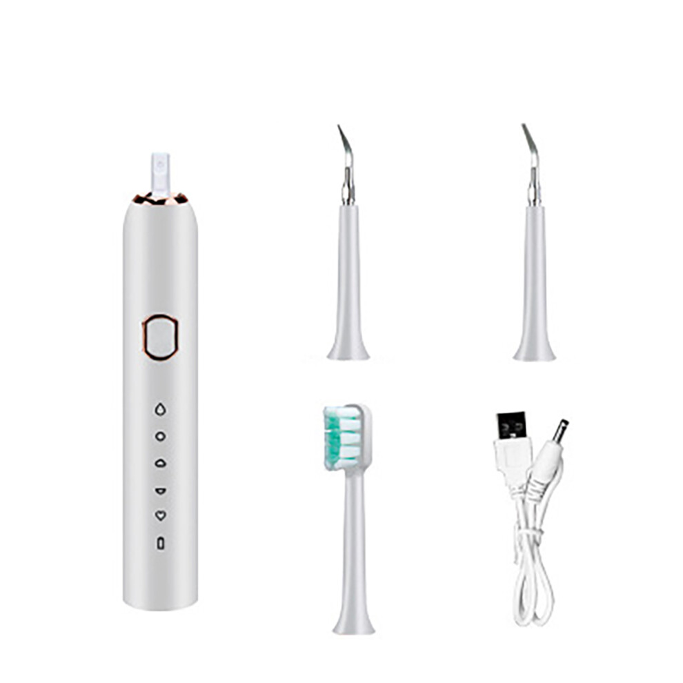 2 in 1 Electric Dental Calculus Remover Sonic Toothbrush Ultrasonic Whitening Five Gear USB Rechargeable Tooth Cleaner