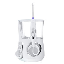 220V Water Jet tandenflosser Elektrische Flos Oral Irrigator Tandenreiniger