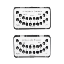 3 Ganci Fessura 0.22 Pollici Supporto Ortodontico Mini Metallo Gancio Ortodontico a Filo Dritto