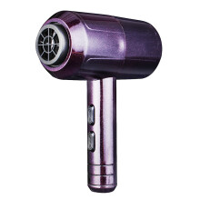 2000W Professionele Haardroger Warm Koud Blazen Snelle Verwarming Krachtige Blazer Laag Geluid