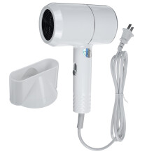 1000 W 220 V Thermostat-Haartrockner Luftbläser-Kit Negativ-Ion-Haarstyling