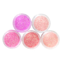 5 Pot/Set Pink Glitter Eye Shadow Chunky Holographic Nail Art Face Body