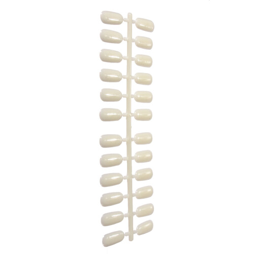 5 stuks plastic nagelkunst nagellak display monsters manicure oefentips 2