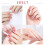 Rosalind 12-teiliges Set einfarbiger Nagellack 5