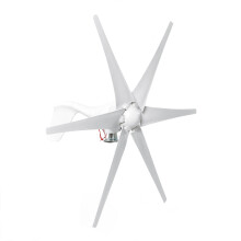 800 W 12 V/24 V Windturbine 6 weiße Blätter Generator Hochleistung für Batterieladung
