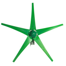 12V/24V 5 Blades 1800W Peak Green Horizontal Power Wind Turbine Generator With Charge Controller