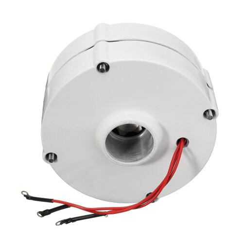 100W 12V 24V Three-phase Current PMSG Generator White For Wind Turbine