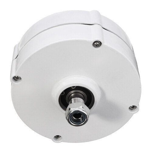 100W 12V 24V Three-phase Current PMSG Generator White For Wind Turbine 2