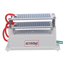 110 V 10 g/H Ozon-Generator Doppelintegrierte Keramikplatte Ozonisierer