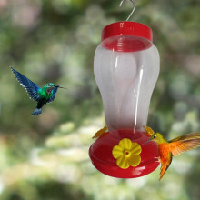 Vogelwassertränke Flasche hängender Kolibri-Futterspender Garten Außen Kunststoff Blume Eisenhaken Vogelhaus für draußen/drinnen