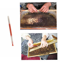 Strumenti per apicoltura Strumenti per apicoltori Strumento per innesto a tipo retrattile Ago per apicoltore per innesto